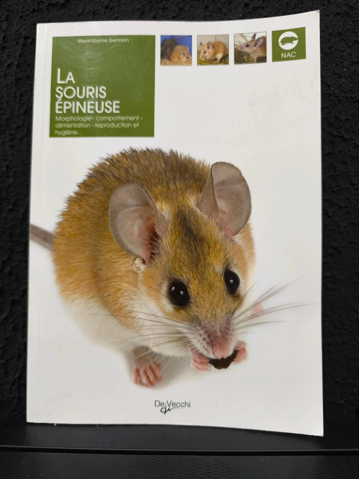 La souris épineuse